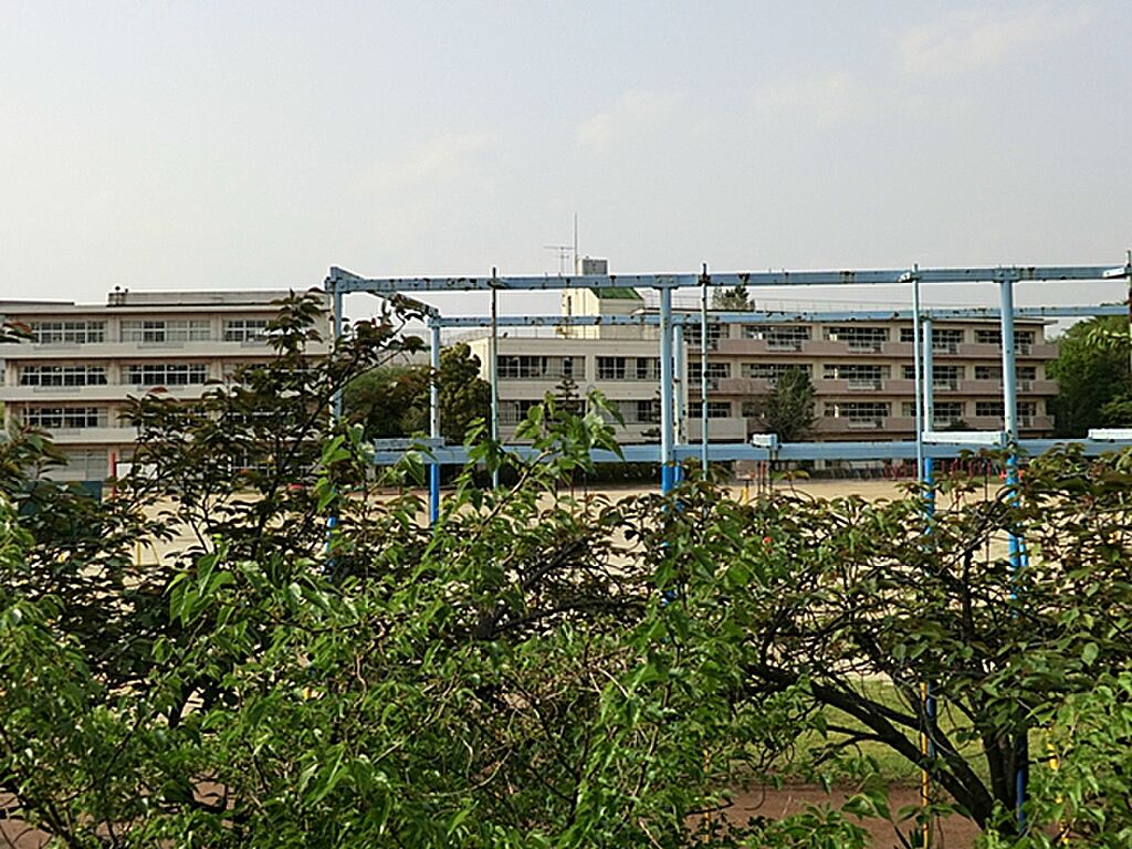 Image 16