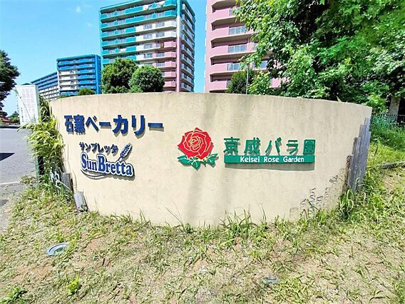 京成バラ園