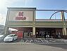 周辺：かましん自治医大店まで（110m）