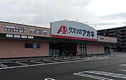 クスリのアオキ井野店　徒歩9分　700ｍ