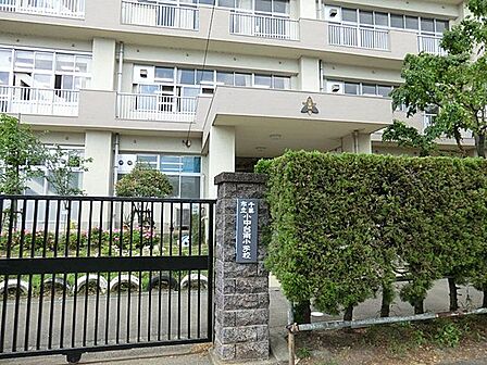 小中台南小学校 徒歩5分 340m