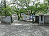周辺：千葉市立こてはし台小学校 徒歩12分。 890m