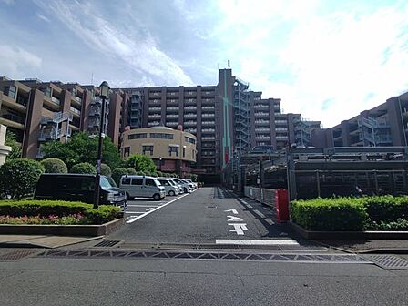 現地写真
