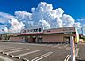 周辺：クスリのアオキ井野店 徒歩9分。 650m