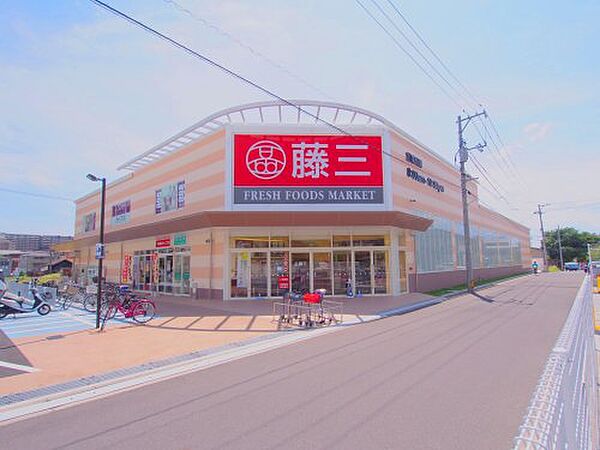 画像27:【スーパー】藤三 向洋店まで308ｍ