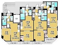 カイテキースV 502 5階1DKの間取り