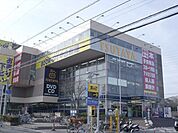 ＴＳＵＴＡＹＡ 795m