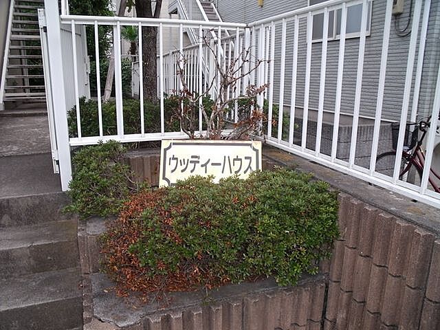 5 / 19