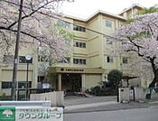 千葉市立蘇我中学校 徒歩11分。中学校 850m