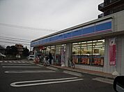 ローゾン 290m
