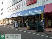 フーズセレクション 250m