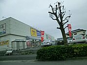 ゲオ 590m