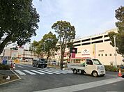 イオンモール 1300m