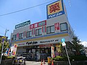 マツモトキヨシ 250m
