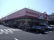 ヤックスドラッグ 700m
