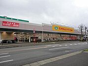ランドロームフードマーケット都賀店 730m