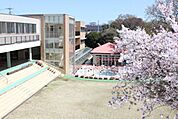 清和幼稚園 379m