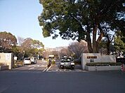 千葉大学 徒歩10分。大学・短大 800m
