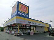 マツモトキヨシ 1000m