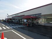 エスパティオ 下川入店 1051m