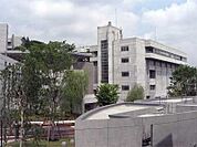 多摩美術大学 3800m