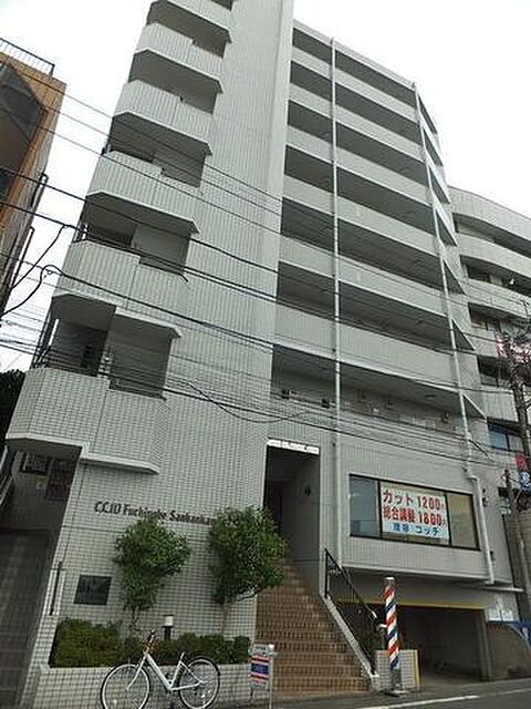 8 / 19