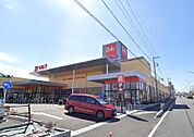 ベルク和光白子店