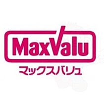 大阪府大阪市浪速区大国３丁目（賃貸マンション1K・2階・21.31㎡） その20