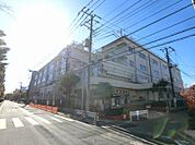江東区立第六砂町小学校 約725ｍ