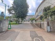 川口市立鳩ヶ谷中学校 撮影日(2025-06-01) 350m
