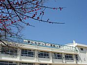 品川区立宮前小学校（58m）
