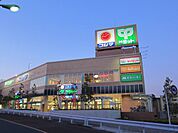サミットストア 成城店（434m）