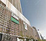 マルエツ 小杉店（236m）