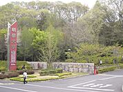 明星大学 300m