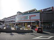 アメリア 590m