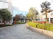 八王子市川口図書館 徒歩10分。図書館 790m