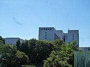 中央大学 2400m