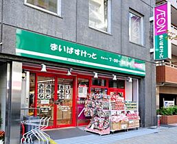 グランジット神田司町（GRANSITE神田司町） 1102 ｜ 東京都千代田区神田司町２丁目15-5（賃貸マンション1LDK・11階・41.79㎡） その18