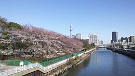 K館 403 ｜ 東京都江東区大島１丁目35-10（賃貸マンション1DK・4階・27.85㎡） その22