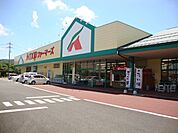 スーパー「A・コープファーマーズうえだ店まで385m」