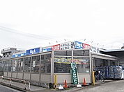 ビッグ・エー青井店（251m）
