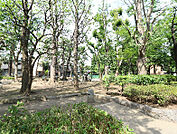 千住仲町公園（405m）