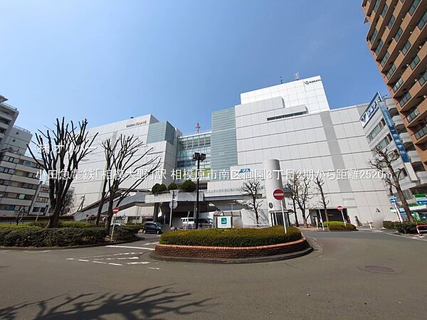 周辺を拡大表示
