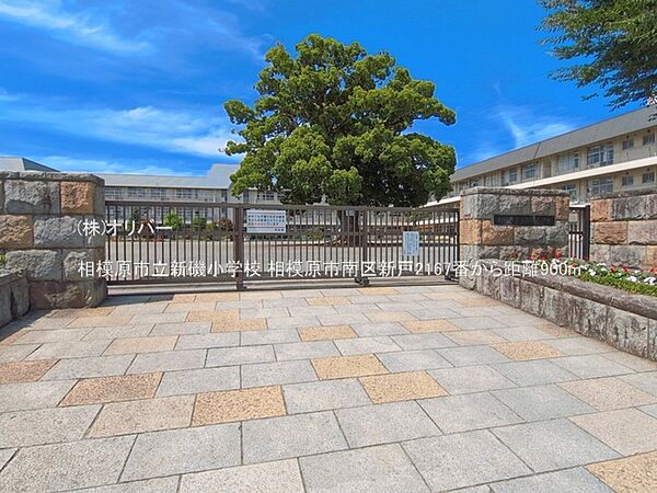 周辺を拡大表示