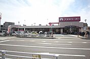 アオキスーパー八田店 1233m