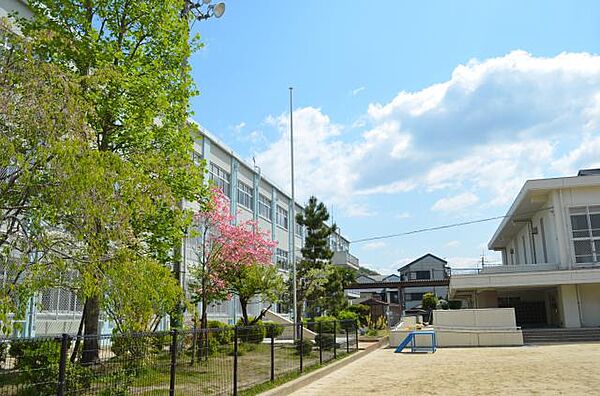 画像24:【小学校】京都市立 陵ケ岡小学校まで292ｍ