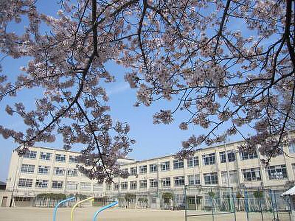 画像29:【小学校】京都市立 伏見住吉小学校まで1300ｍ