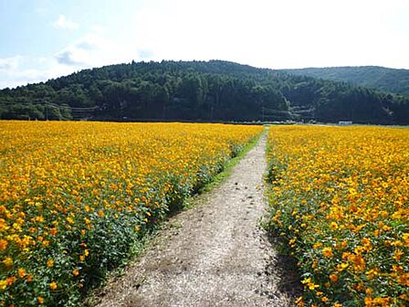 花の都公園まで(1750m)
