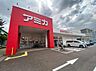 周辺：アミカ 堀田店（491m）