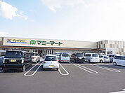 マミーマート 柏根戸店（1074m）